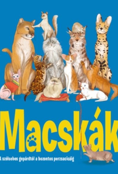 Macskák