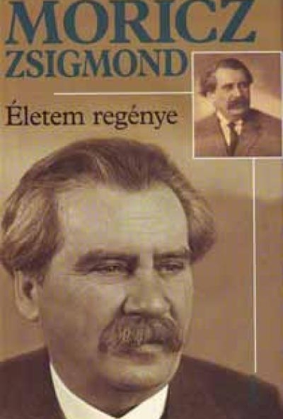 Életem regénye