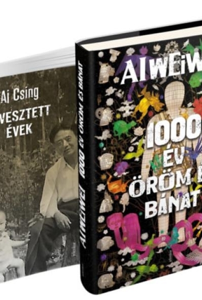 1000 év öröm és bánat; Elvesztett évek