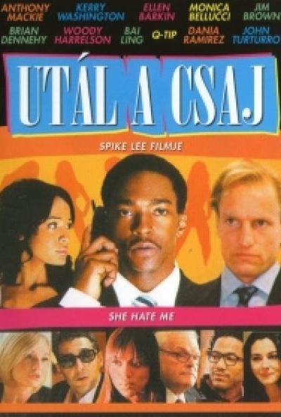Utál a csaj (DVD) *Anthony Mackie - Szinkronizált - Antikvár - Kiváló állapotú*