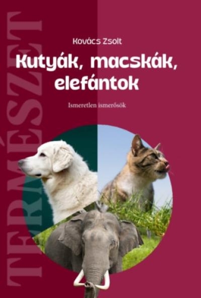 Kutyák, macskák, elefántok