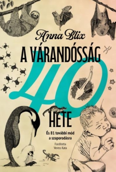 A várandósság 40 hete