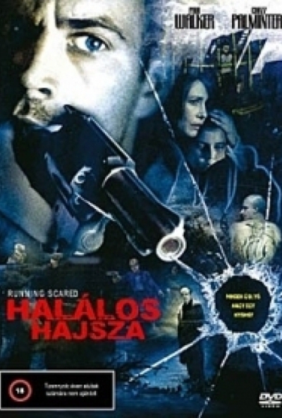 Halálos hajsza (DVD) *Paul Walker - Antikvár - Kiváló állapotú*
