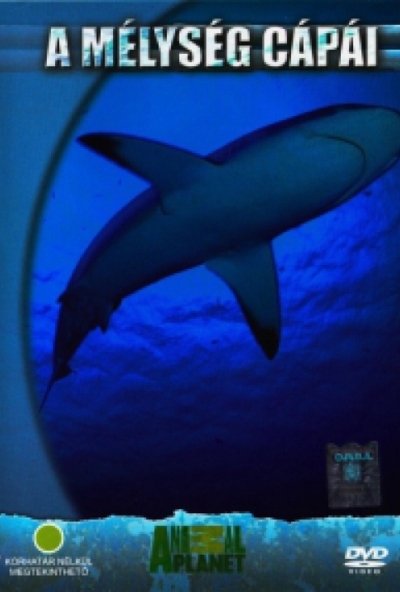 A mélység cápái (DVD) *Szinkronizált - Antikvár - Bontatlan*