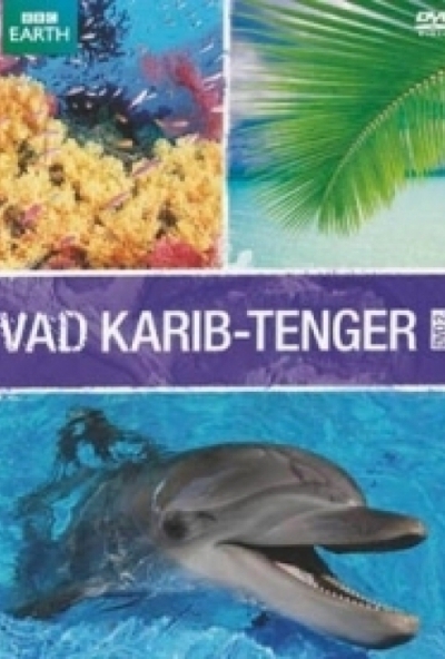 Vad Karib-tenger 2. (DVD)