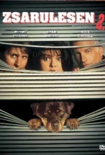 Zsarulesen 2. (DVD) *Antikvár - Kiváló állapotú*