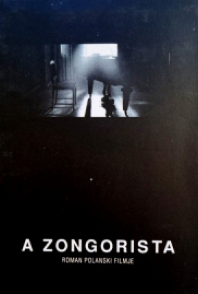 A zongorista (2 DVD) *Adrien Brody - Szinkronizált - Antikvár - Kiváló állapotú*