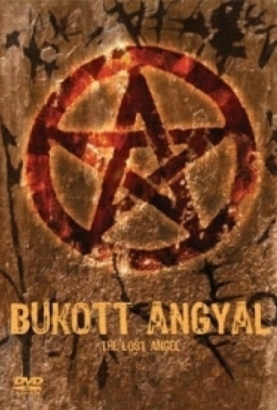 Bukott Angyal (DVD) *Antikvár - Kiváló állapotú* 