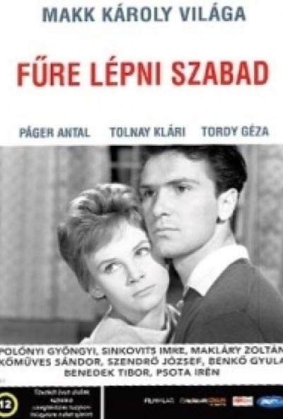 Fűre lépni szabad (DVD)  *Antikvár - Kiváló állapotú*