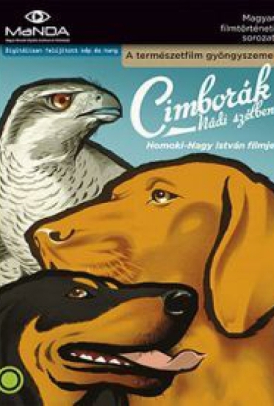 Cimborák - Nádi szélben (DVD) *1958 - Antikvár - Kiváló állapotú*