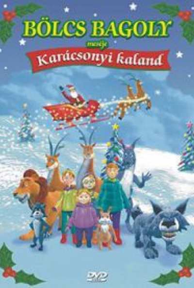 Bölcs Bagoly meséje - Karácsonyi kaland (DVD) *Antikvár - Kiváló állapotú*