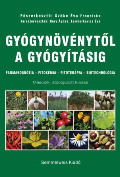 Gyógynövénytől a gyógyításig