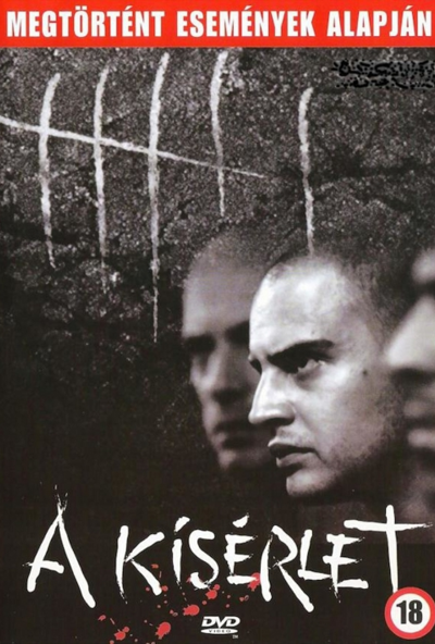 A kísérlet (DVD) *Német-2001-es változat* *Antikvár - Kiváló állapotú*