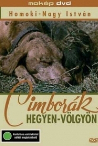 Cimborák - Hegyen-Völgyön (DVD) *Antikvár - Kiváló állapotú*