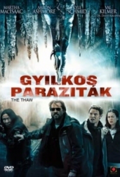 Gyilkos paraziták (DVD) *Val Kilmer - Antikvár - Kiváló állapotú*