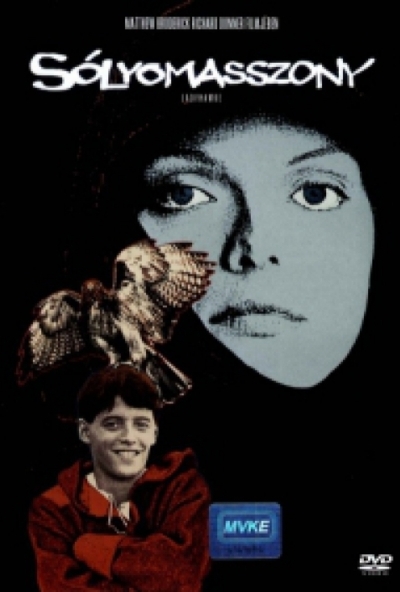 Sólyomasszony (DVD) *Magyar kiadás - Matthew Broderick - Antikvár - Kiváló állapotú*
