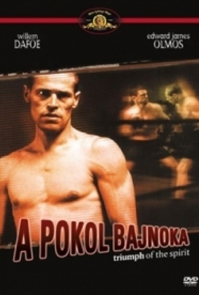 A pokol bajnoka (DVD) *Antikvár - Kiváló állapotú*