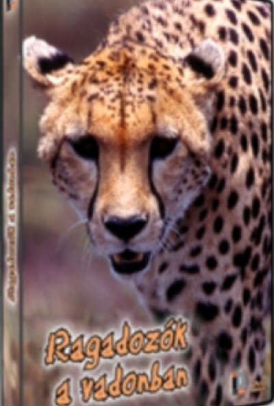 Ragadozók a vadonban (DVD) *Szinkronizált - Antikvár - Bontatlan*