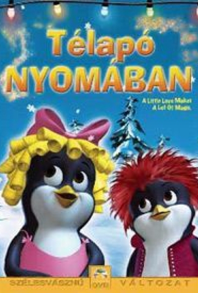 Télapó nyomában (DVD)