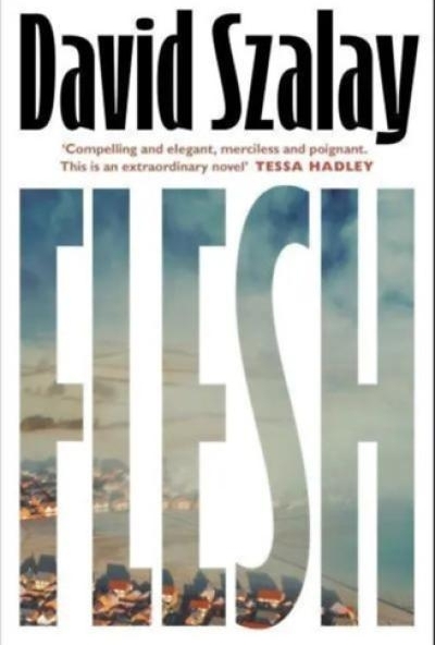 Flesh - hardback