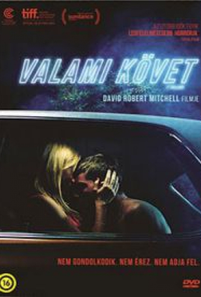 Valami követ (DVD) *Antikvár - Kiváló állapotú*