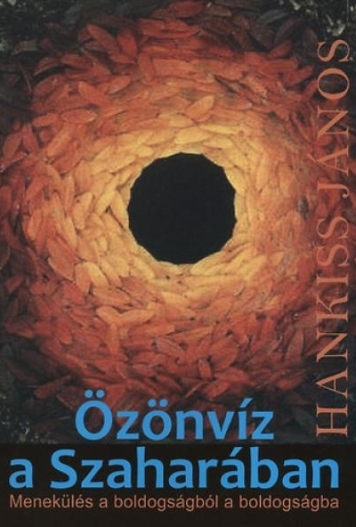 Özönvíz a Szaharában