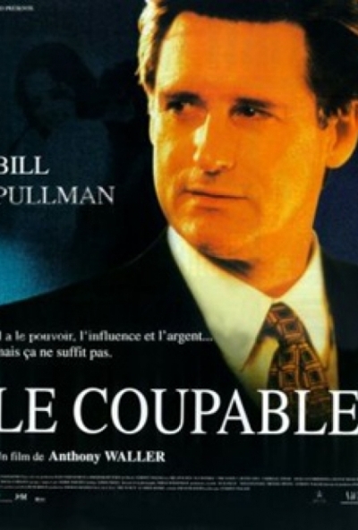 A bűnös  *Bill Pullman*  (DVD) * Antikvár - Kiváló állapotú*