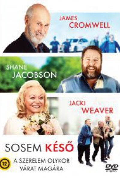 Sosem késő (DVD)