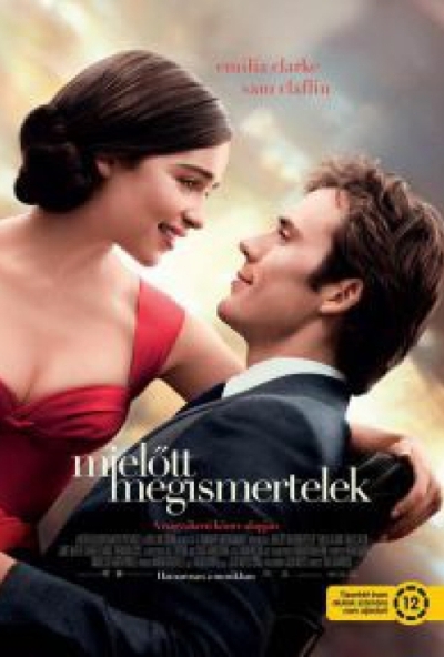 Mielőtt megismertelek (DVD)  *Antikvár - Kiváló állapotú*