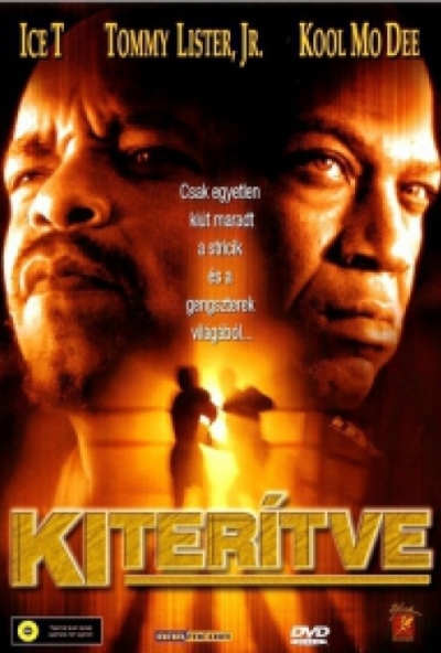 Kiterítve (DVD) *Ice-T - Szinkronizált - Antikvár - Kiváló állapotú*