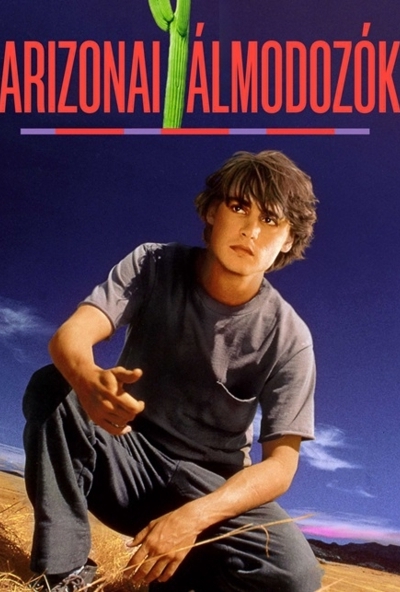 Arizónai álmodozók (DVD) *Johnny Depp - Antikvár - Kiváló állapotú*