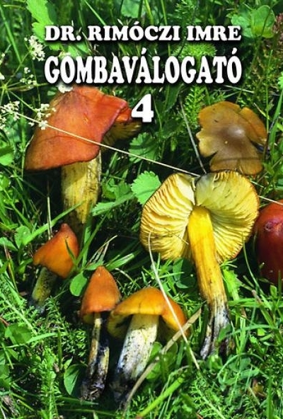Gombaválogató 4.