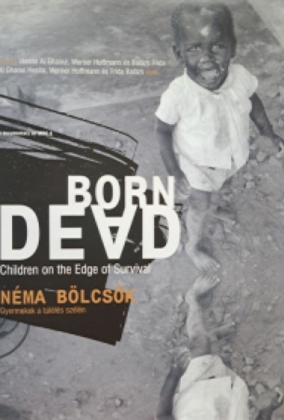 Néma bölcsők - Gyermekek a túlélés szélén (DVD) *Antikvár - Kiváló állapotú*