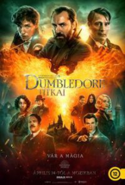 Legendás állatok: Dumbledore titkai (Blu-ray) *Magyar szinkronnal - Import*