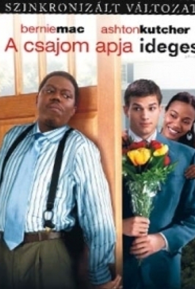 A csajom apja ideges (DVD) * Ashton Kutcher - Antikvár - Kiváló állapotú*