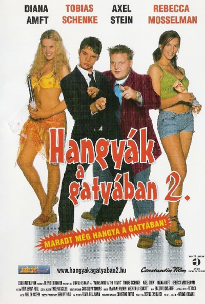 Hangyák a gatyában 2. (DVD) *Antikvár - Kiváló állapotú*